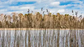 Wyspa Wydmińska i jezioro Wydmińskie, końcówka zimy 2023 r. - zdjęcie 16