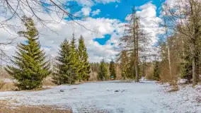 Wyspa Wydmińska i jezioro Wydmińskie, końcówka zimy 2023 r. - zdjęcie 30