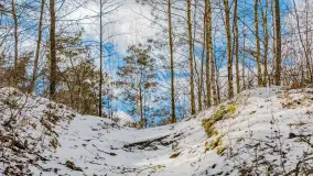 Wyspa Wydmińska i jezioro Wydmińskie, końcówka zimy 2023 r. - zdjęcie 11