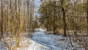 Wyspa Wydmińska i jezioro Wydmińskie, końcówka zimy 2023 r. - zdjęcie 47