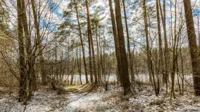 Wyspa Wydmińska i jezioro Wydmińskie, końcówka zimy 2023 r. - zdjęcie 39