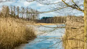 Wyspa Wydmińska i jezioro Wydmińskie, końcówka zimy 2023 r. - zdjęcie 20