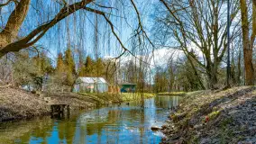 Poszukiwania wiosny w Węgorzewie, marzec 2023 r. - zdjęcie 6