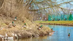 Poszukiwania wiosny w Węgorzewie, marzec 2023 r. - zdjęcie 48