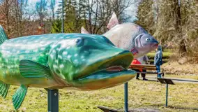 Poszukiwania wiosny w Węgorzewie, marzec 2023 r. - zdjęcie 56