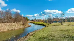 Poszukiwania wiosny w Węgorzewie, marzec 2023 r. - zdjęcie 7