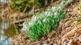 Poszukiwania wiosny w Węgorzewie, marzec 2023 r. - zdjęcie 54