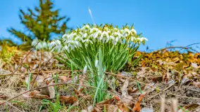 Poszukiwania wiosny w Węgorzewie, marzec 2023 r. - zdjęcie 59