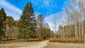 Weekend na dziko nad jeziorem Tyrkło. marzec 2023 r. - zdjęcie 10