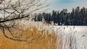 Weekend na dziko nad jeziorem Tyrkło. marzec 2023 r. - zdjęcie 34