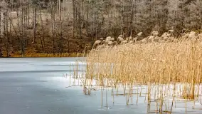 Weekend na dziko nad jeziorem Tyrkło. marzec 2023 r. - zdjęcie 13