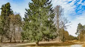 Weekend na dziko nad jeziorem Tyrkło. marzec 2023 r. - zdjęcie 35