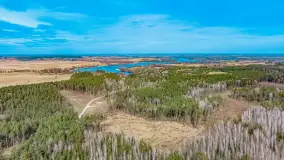 Weekend na dziko nad jeziorem Tyrkło. marzec 2023 r. - zdjęcie 19