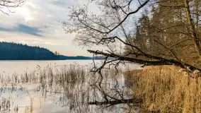 Wschód słońca nad jeziorem Tyrkło, marzec 2023 r. - zdjęcie 6