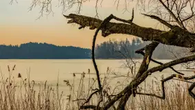 Wschód słońca nad jeziorem Tyrkło, marzec 2023 r. - zdjęcie 22