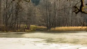 Wschód słońca nad jeziorem Tyrkło, marzec 2023 r. - zdjęcie 13