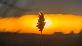 Zachód słońca, z innej perspektywy, marzec 2023 r. - zdjęcie 12