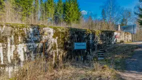 Wiosenny spacer po Mamerkach, marzec 2023 r. - zdjęcie 1