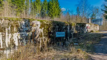 Wiosenny spacer po Mamerkach, marzec 2023 r.