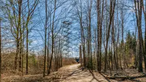 Wiosenny spacer po Mamerkach, marzec 2023 r. - zdjęcie 6