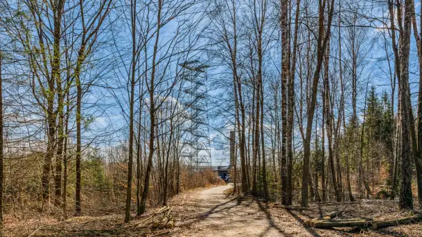 Wiosenny spacer po Mamerkach, marzec 2023 r. - zdjęcie 6