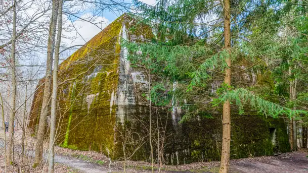 Wiosenny spacer po Mamerkach, marzec 2023 r. - zdjęcie 9