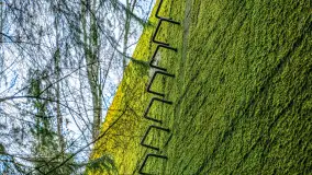 Wiosenny spacer po Mamerkach, marzec 2023 r. - zdjęcie 12