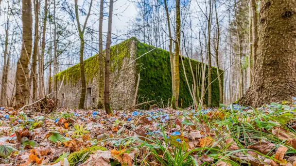 Wiosenny spacer po Mamerkach, marzec 2023 r. - zdjęcie 5