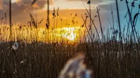 Zachód słońca nad jeziorem Martiany, marzec 2023 r. - zdjęcie 5