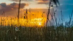 Zachód słońca nad jeziorem Martiany, marzec 2023 r. - zdjęcie 8