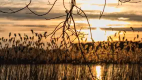 Wiosenny zachód słońca nad jeziorem Dejguny - zdjęcie 7