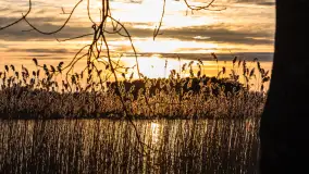 Wiosenny zachód słońca nad jeziorem Dejguny - zdjęcie 38