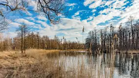 Węgorapa i kanał Węgorzewski pod koniec marca 2023 r. - zdjęcie 23