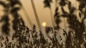 Wschód słońca nad jeziorem Dejguny, kwiecień 2023 r. - zdjęcie 28