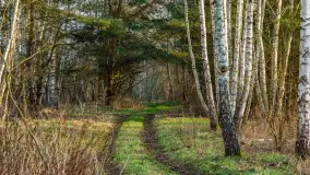 Wschód słońca nad jeziorem Dejguny, kwiecień 2023 r. - zdjęcie 13