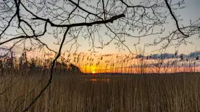 Zachód słońca nad jeziorem Dejguny, Lisi Ogon, kwiecień 2023 r. - zdjęcie 29