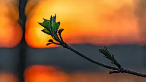 Zachód słońca nad jeziorem Dejguny, Lisi Ogon, kwiecień 2023 r. - zdjęcie 53