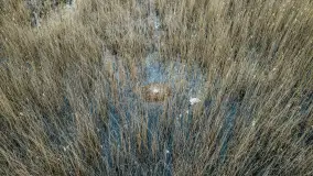 Zachód słońca nad jeziorem Dejguny, Lisi Ogon, kwiecień 2023 r. - zdjęcie 42