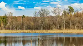 Wiosna i rozlewiska przy jeziorze Siercze niedaleko Gierłoży - zdjęcie 9