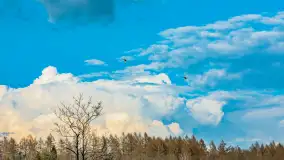 Wiosna i rozlewiska przy jeziorze Siercze niedaleko Gierłoży - zdjęcie 11