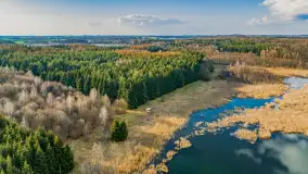 Wiosna i rozlewiska przy jeziorze Siercze niedaleko Gierłoży - zdjęcie 23