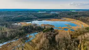 Wiosna i rozlewiska przy jeziorze Siercze niedaleko Gierłoży - zdjęcie 42