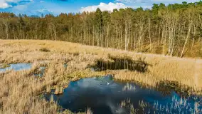 Wiosna i rozlewiska przy jeziorze Siercze niedaleko Gierłoży - zdjęcie 35