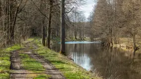 Kanał Mazurski, wiele ukrytych perełek - zdjęcie 20