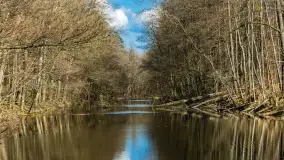 Kanał Mazurski, wiele ukrytych perełek - zdjęcie 77