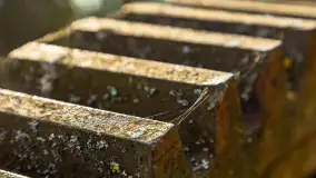 Kanał Mazurski, wiele ukrytych perełek - zdjęcie 85