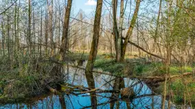 Kanał Mazurski, wiele ukrytych perełek - zdjęcie 104
