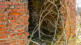 Kanał Mazurski, wiele ukrytych perełek - zdjęcie 111