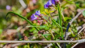 Wiosna już jest, taka prawdziwa, zielona i ciepła - zdjęcie 22