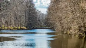 Wiosna już jest, taka prawdziwa, zielona i ciepła - zdjęcie 28